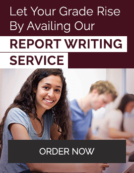 Let Your Grade Rise By Availing Our Report Writing Service. Order Now!